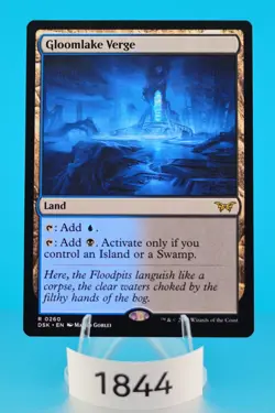 MTG Gloomlake Verge Duskmourn: House of Horror Regular #260 - Image 1