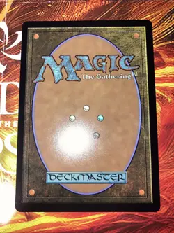 Rain-Slicked Copse (Extended Art) Commander: Lorwyn Eclipsed Regular - Image 2