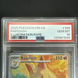 2025 POKEMON DRI EN-DESTINED RIVALS #189 RAPIDASH ILLUSTRATION RARE PSA 10 - Image 3