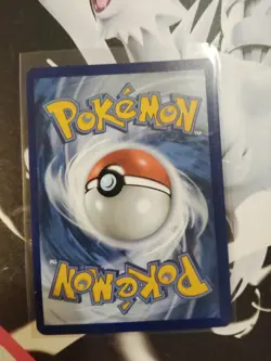 Scrafty 139/086 SV: White Flare Pokemon Card Illustration Rare IR NM B1 - Image 2
