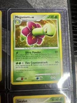 Lot of 10 Pokemon TCG Vintage cards: 2004-2009 Reverse Holo Heracross 7/101 - Image 3