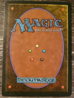 1995 Willow Priestess Card - Rare Green Creature - Mint/NM+ - Homelands MTG - Image 2