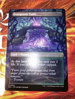 Overgrown Tomb (Borderless) Lorwyn Eclipsed Regular - Image 2
