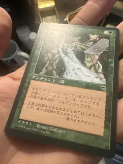 Earthcraft MTG Tempest Japanese MP - Image 2