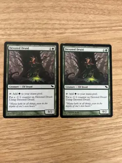 2x Devoted Druid | NM/LP | Shadowmoor | MTG Magic The Gathering - Image 1