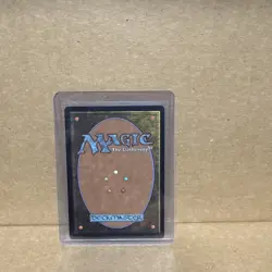 Selfless Safewright (Extended Art) Lorwyn Eclipsed Foil - Image 2