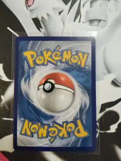 2021 Pokemon 25th Anniversary Mcdonalds Promo Holo Mudkip 19/25 - Image 2
