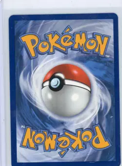 Shuckle Illustration Rare ME01: Mega Evolution 136/132 MP Pokemon ! - Image 2