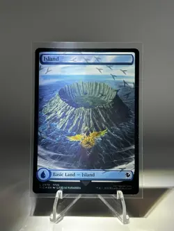 FULL ART CHOCOBO TRACK FOIL BASIC LANDS FINAL FANTASY MTG SET OF 5 - Image 5