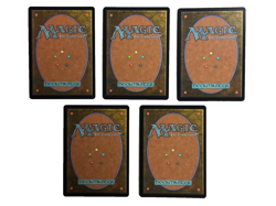 MTG Final Fantasy Chocobo Track Foil Full Art Basic Lands Set of 5 - Image 2