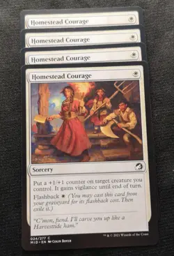 Homestead Courage X4 - Playset - MID - NM Unplayed - EN - 024 - Image 1