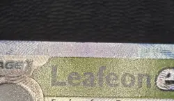 Pokemon Leafeon ex 006/131 Prismatic Evolutions Surprise Box Stamped Promo - NM - Image 3