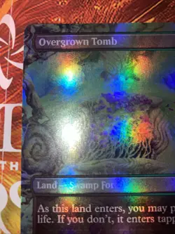 Overgrown Tomb (Borderless) Lorwyn Eclipsed Foil - Image 2
