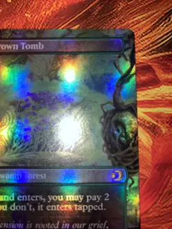 Overgrown Tomb (Borderless) Lorwyn Eclipsed Foil - Image 5