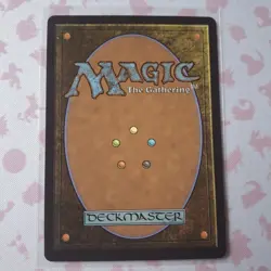 MTG Painter's Servant 147 Borderless Special Guests Foil - Lorwyn Eclipsed - NM - Image 4