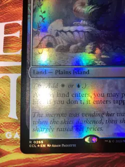 magic: the gathering lorwyn eclipsed Hallowed Fountain Foil Pair - Image 4