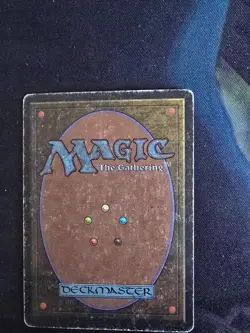 Tropical Island Unlimited Edition Regular - Image 2