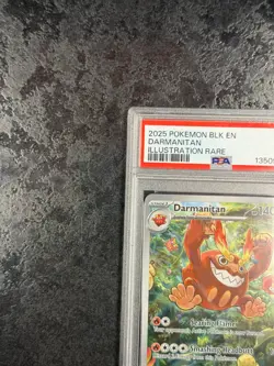 2025 POKEMON BLACK BOLT EN DARMANITAN ILLUSTRATION RARE #098 MINT 💎 PSA 9 - Image 3