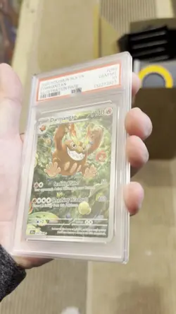 PSA 10 Darmanitan Illustration Rare 098/086 Pokemon 2025 BLK EN GEM MINT - Image 2