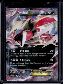 2013-17 Pokemon XY Promos Yveltal #XY150 - Image 1