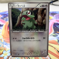 Axew 003/BW-P Enigma Egg Campaign Promo Japanese Pokemon Card ~ MP - Image 1