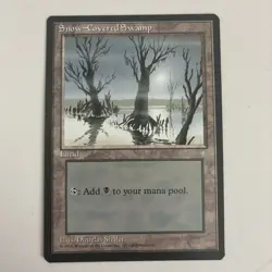 Snow-Covered Swamp Ice Age Regular - Image 1