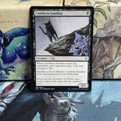 Cauldron Familiar #081/269 Throne of Eldraine Regular LP - Image 1