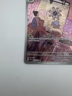 Lileep 145/142 Illustration Rare Pokemon TCG SV07: Stellar Crown NM - Image 4