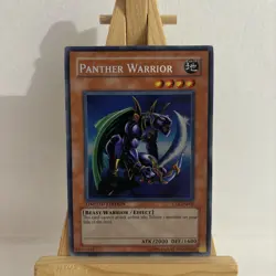 Panther Warrior-CT2-EN006-Secret Rare-Limited Edition-MC Yu-Gi-Oh! TCG - Image 1