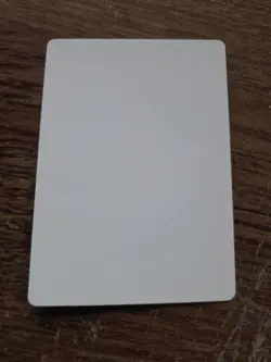 Tor Wauki ARTIST PROOF Randy Asplund-Faith Legends Magic the Gathering - Image 2