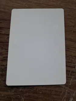 Sylvan Paradise ARTIST PROOF Randy Asplund-Faith Legends Magic the Gathering - Image 2