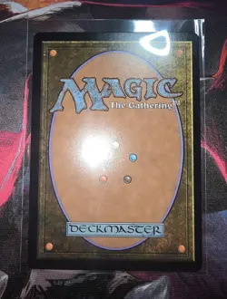 MTG - TLA - The Walls of Ba Sing Se #261 - Regular Near Mint - Image 2