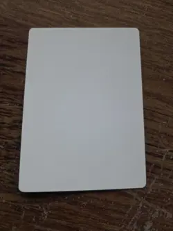 Sentinel ARTIST PROOF Randy Asplund-Faith Legends Magic the Gathering - Image 2