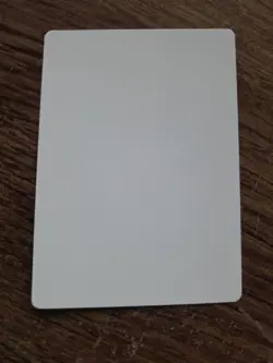 Raging Bull ARTIST PROOF Randy Asplund-Faith Legends Magic the Gathering - Image 2