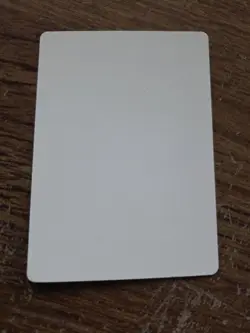 Lost Soul ARTIST PROOF Randy Asplund-Faith Legends Magic the Gathering - Image 2