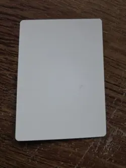 Kobold Taskmaster ARTIST PROOF Randy Asplund-Faith Legends Magic the Gathering - Image 2