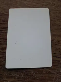 Thunder Spirit ARTIST PROOF Randy Asplund-Faith Legends Magic the Gathering - Image 2