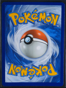 Greninja Gold Star Holo Promo #SWSH144 SWSH Sword & Shield NM - Image 2