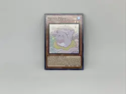 Yugioh! Melffy Pinny - POTE-EN023 - Common - 1st Edition Near Mint, English - Image 1