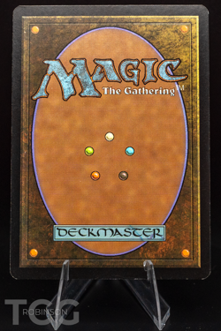 Windswept Heath - 2002 Magic the Gathering - Onslaught Regular - Image 2