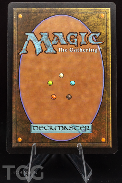 Windswept Heath - 2002 Magic the Gathering - Onslaught Regular - Image 2