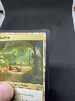 Jetmir's Garden Streets of New Capenna Regular MTG 250 - Image 2