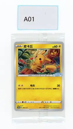 PTCG POKEMON PIKACHU 066/S-P 2023 Volkswagen ID.3 LIMITED PROMO S'CHINESE NM - Image 1