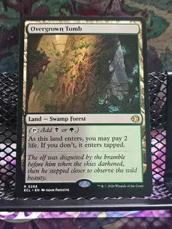 Overgrown Tomb - MTG ECL Lorwyn Eclipsed - NM/MINT - 266 - Image 1