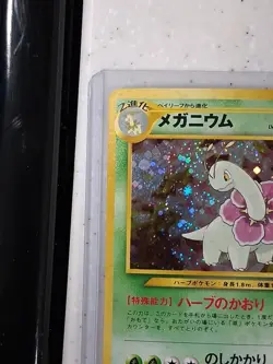 Pokemon TCG Meganium Neo Genesis Holo Rare Japanese NM SUPER SWIRL! - Image 4