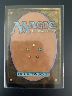 Fierce Guardianship (Showcase) Avatar: The Last Airbender: Eternal-Legal Regular - Image 2