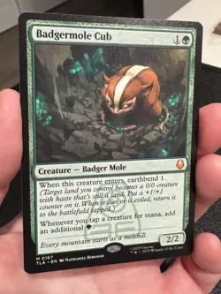 Magic The Gathering - Avatar: The Last Airbender-Badgermole Cub Mythic Non-Foil - Image 4