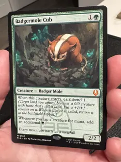 Magic The Gathering - Avatar: The Last Airbender-Badgermole Cub Mythic Non-Foil - Image 5