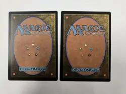 Allosaurus Shepherd MTG Card, English, NM-Mint Condition. 028. X2. - Image 3