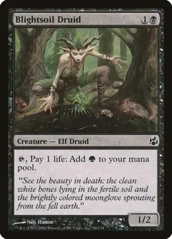 Morningtide, Commons, Magic The Gathering, MOR (2008) MTG TCG - Image 3